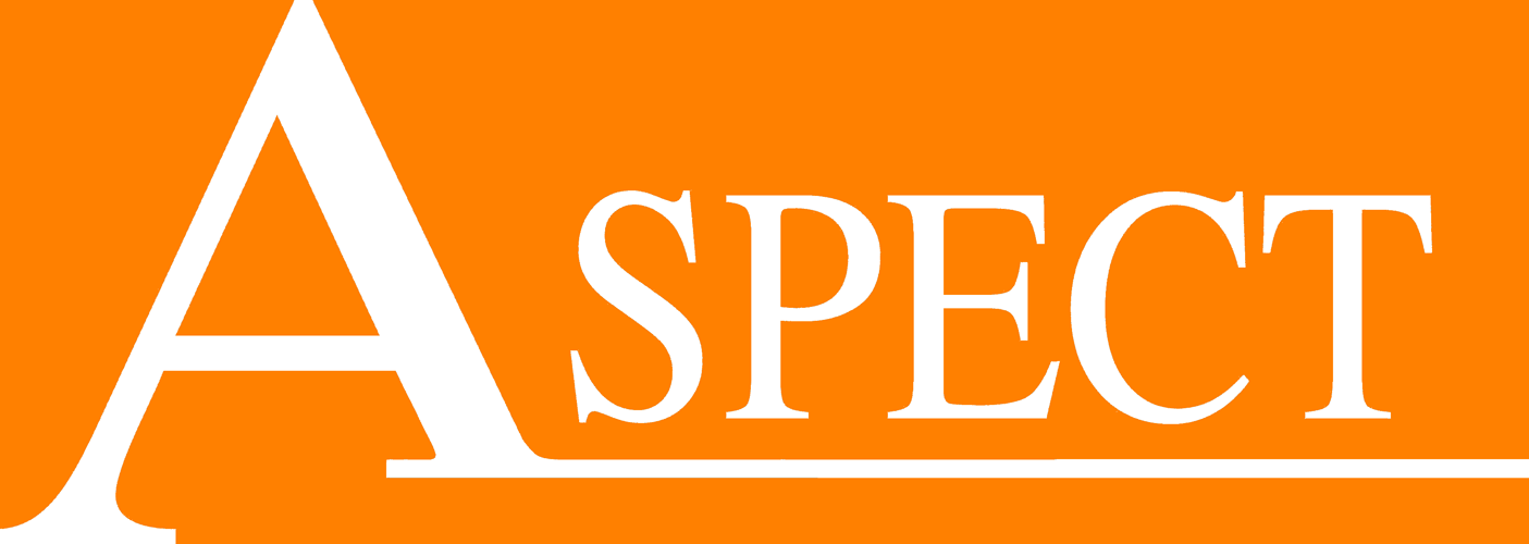 Aspect Boundary Surveys